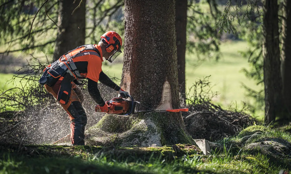 Husqvarna 572 XP – Profesjonalna Pilarka Spalinowa podczas wycinki